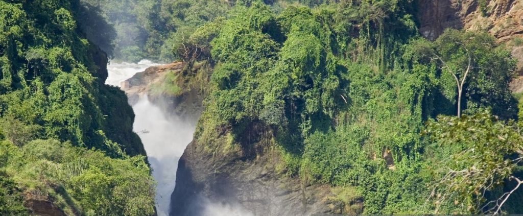 Discover wildlife and scenic beauty on a 5 Days Uganda Safari in Murchison Falls and Kibale National Park.